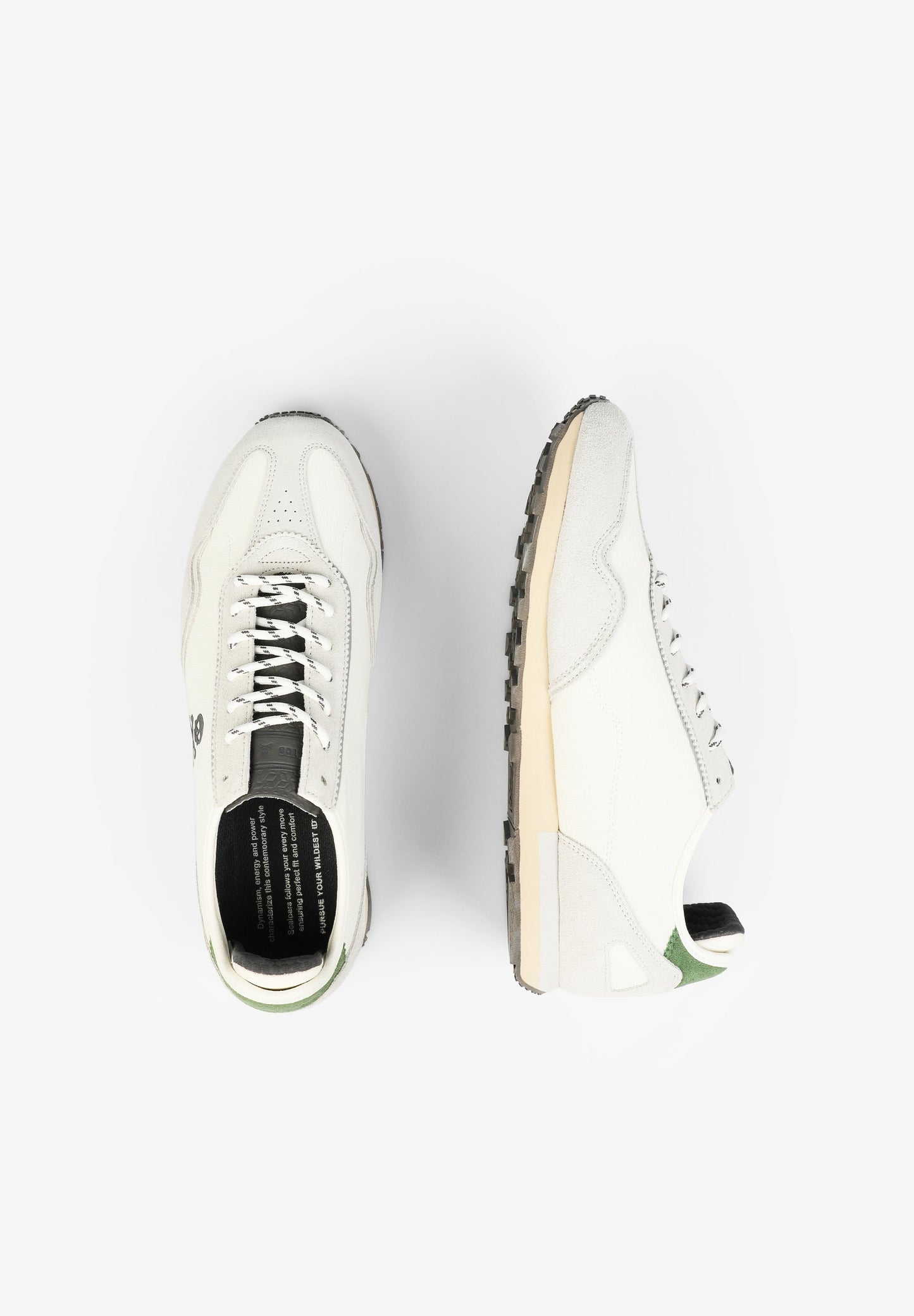 SNEAKERS ANTE CALAVERA