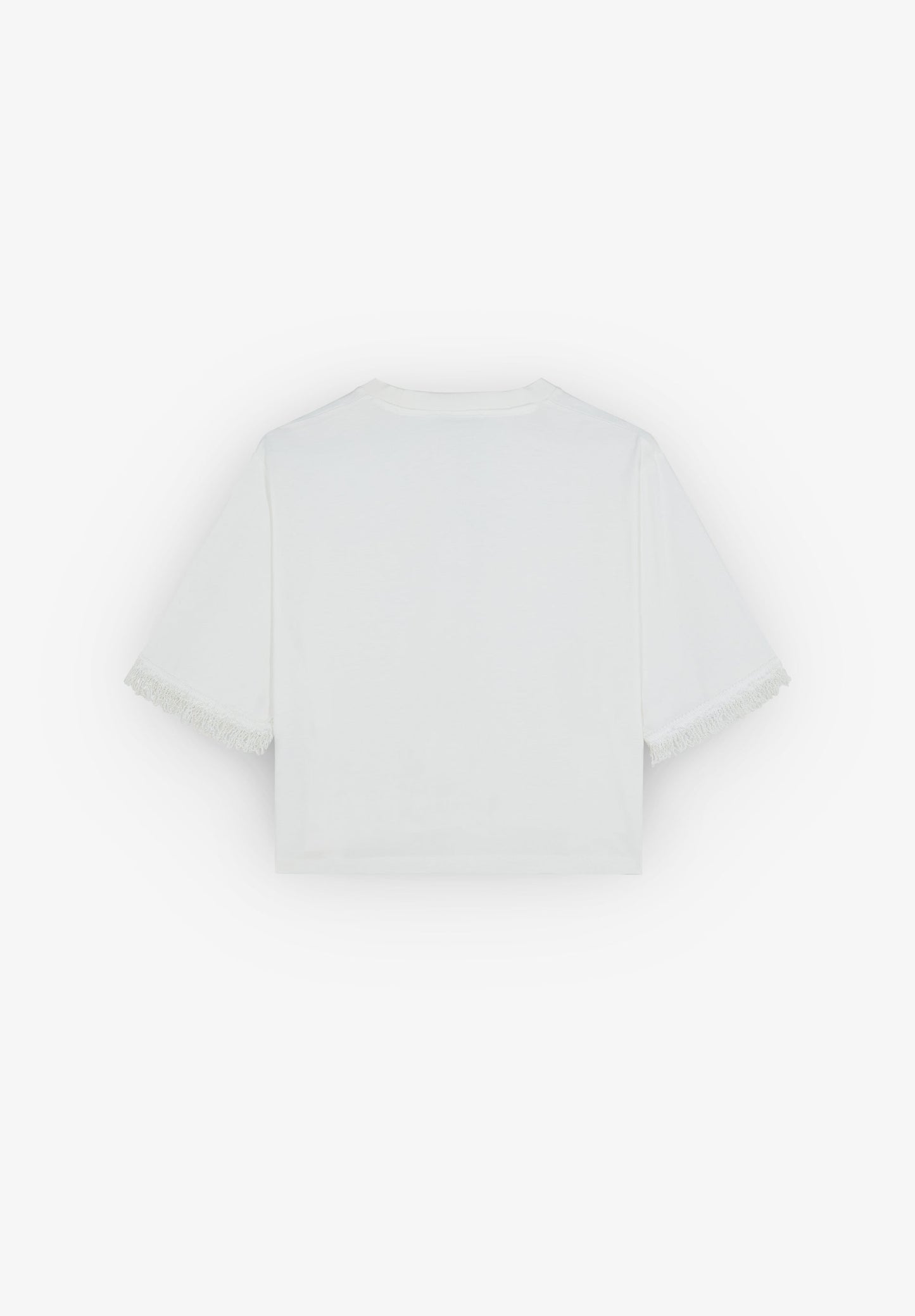CAMISETA FLECOS ABALORIOS