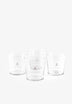 SET VASOS CALAVERA
